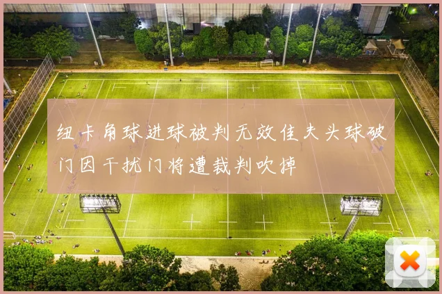 纽卡角球进球被判无效佳夫头球破门因干扰门将遭裁判吹掉