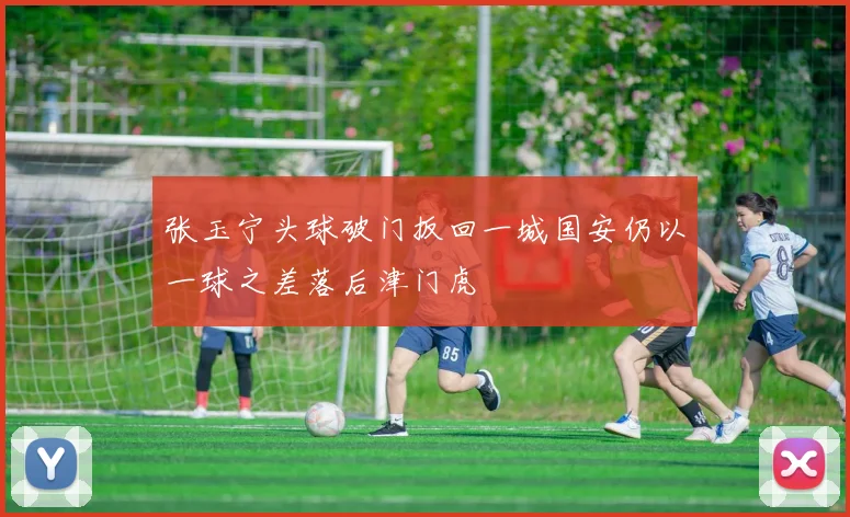 张玉宁头球破门扳回一城国安仍以一球之差落后津门虎