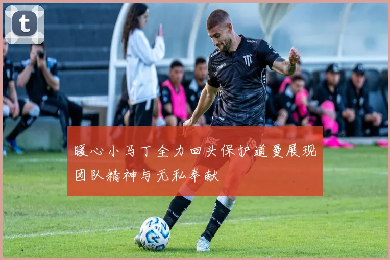 暖心小马丁全力回头保护道曼展现团队精神与无私奉献